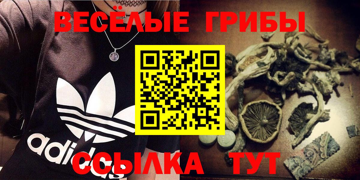 Галлюциногенные грибы MAGIC MUSHROOMS Среднеуральск